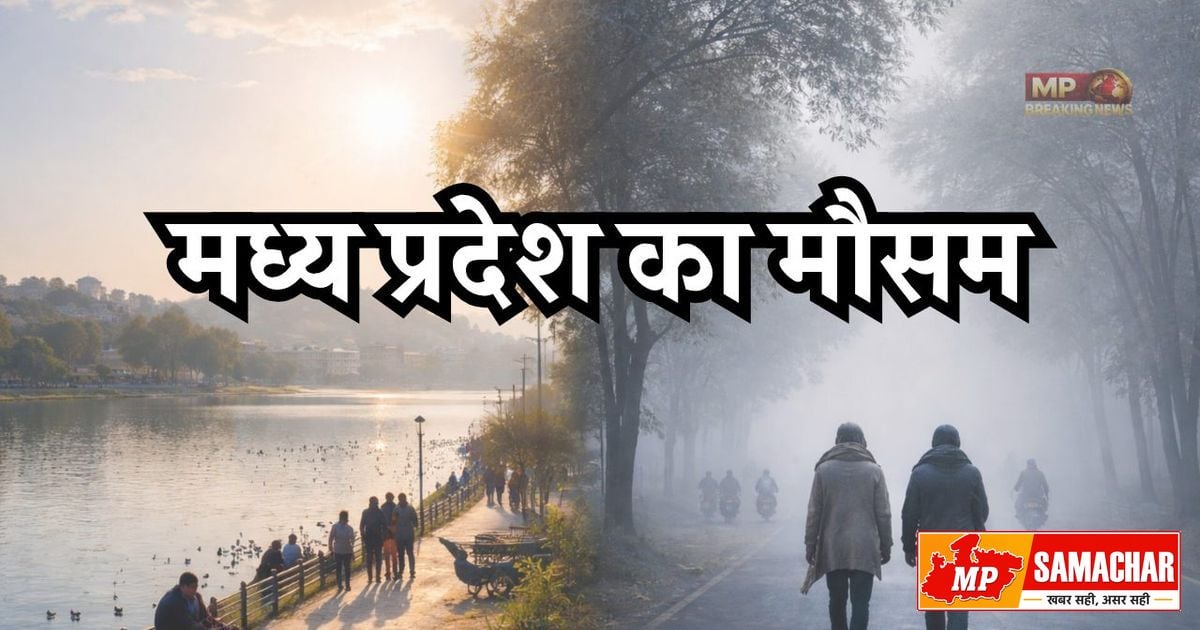 मध्य प्रदेश में मानसून फिर सक्रिय: इन जिलों में भारी बारिश का अलर्ट