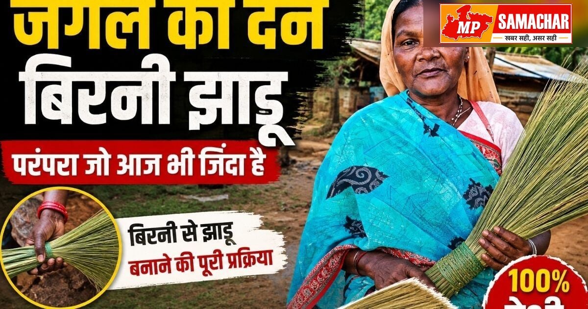 सरगुजा की महिलाओं ने जंगल की घास से बनाई खास झाड़ू, कमाई का बन रहा जरिया