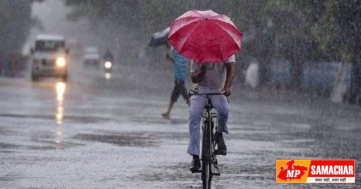 मध्य प्रदेश में मानसून का जोर: रीवा और बालाघाट में भारी बारिश का अलर्ट, 21 अगस्त तक सतर्क रहने की चेतावनी