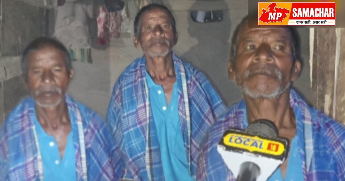 सर्प के काटने का अचूक इलाज: जंगल के अनुभव से मिली वैद्य को नई राह