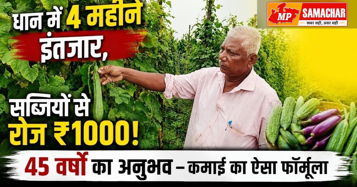 धान की जगह सब्जियों की खेती से मालामाल हो रहे हैं किसान अशोक कुमार