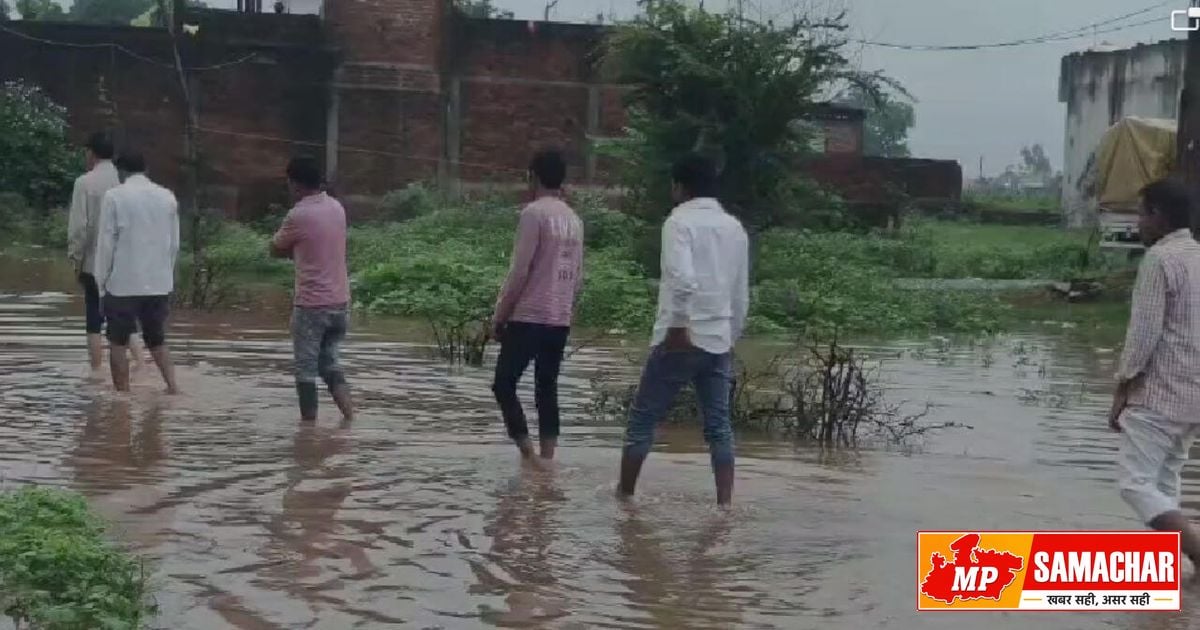 दमोह: तेंदूखेड़ा में मूसलाधार बारिश से जनजीवन अस्त-व्यस्त, घरों में घुसा पानी