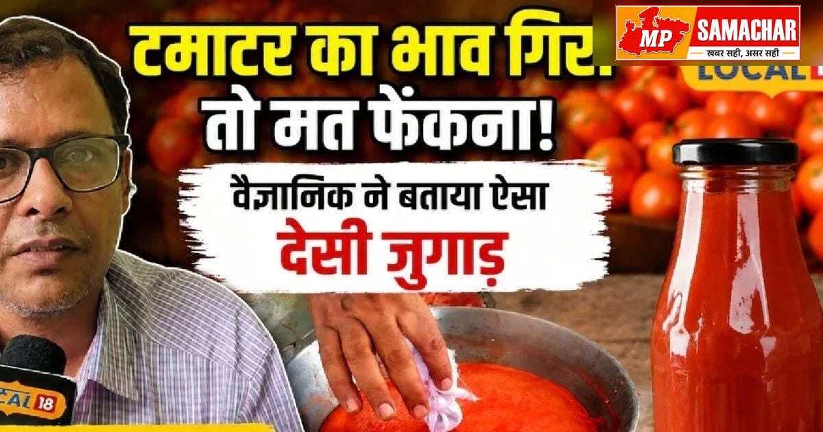 टमाटर की गिरती कीमतों का उठाएं फायदा, घर पर बनाएं बाजार जैसा केचअप