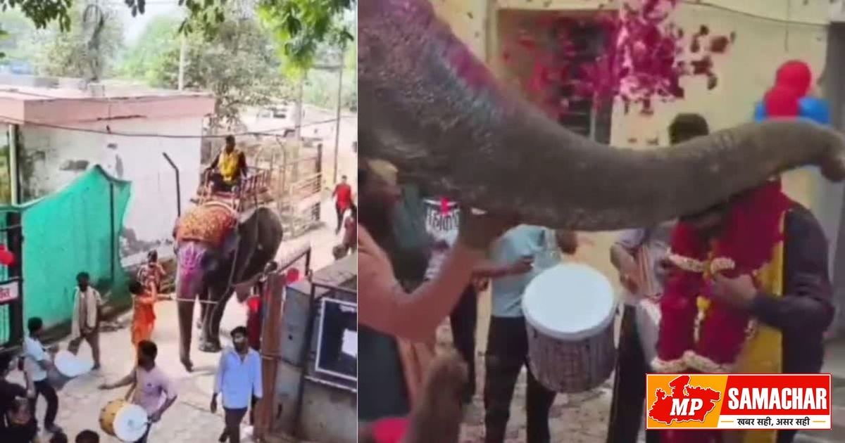 बिजली विभाग के अधिकारी का शाही जन्मदिन: हाथी पर सवारी और नोटों वाला केक पड़ा महंगा