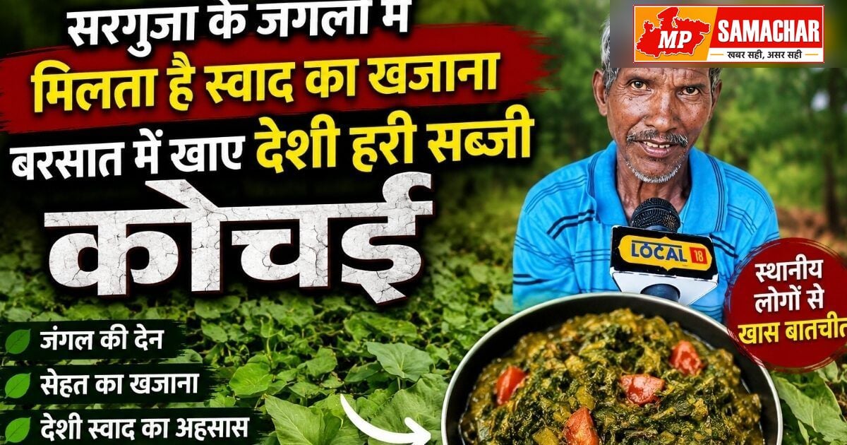 छत्तीसगढ़ के जंगलों में छिपे हैं स्वाद के खजाने: जानिए कैसे बनती है पारंपरिक कोचई पत्ते की सब्जी
