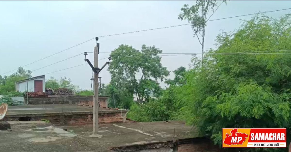 मध्यप्रदेश: घर की छत के बीचों-बीच गड़ा बिजली का पोल, 11KV लाइन से मंडरा रहा बड़ा खतरा