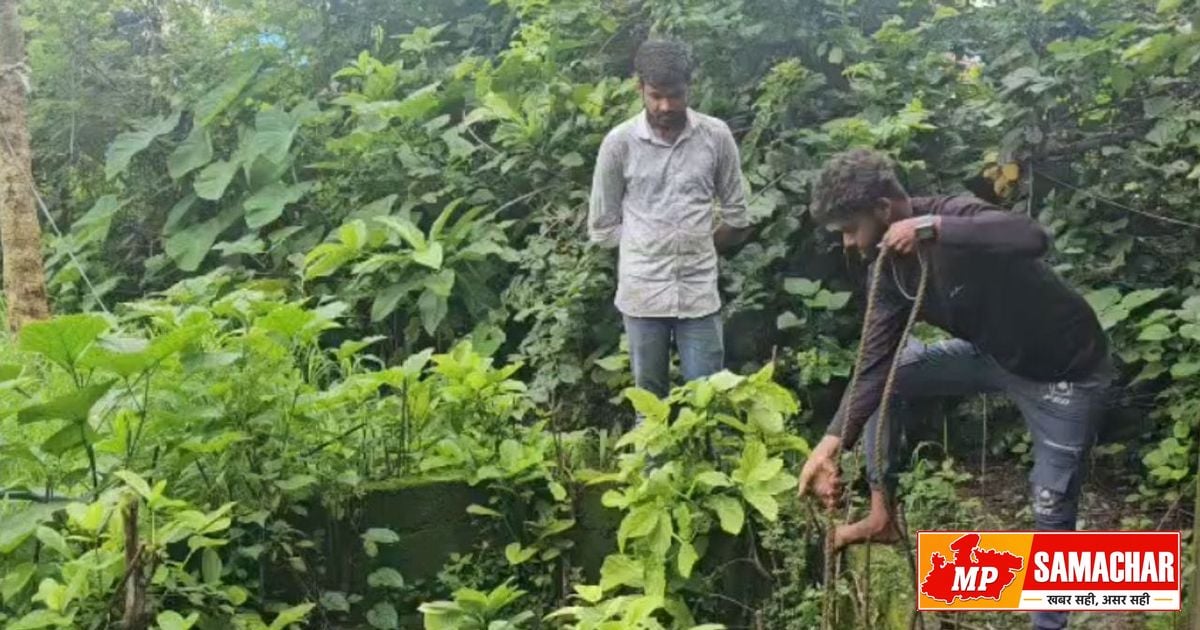 बालाघाट: 50 साल पुराने कुएं का पानी अचानक हुआ गर्म, प्रशासन ने शुरू की जांच