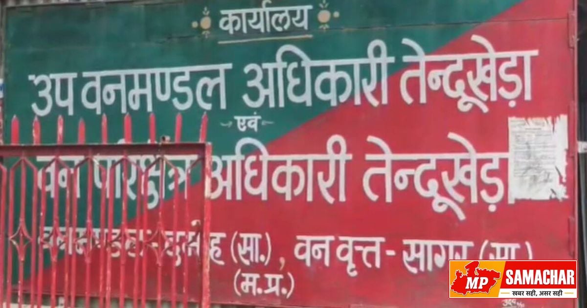 दमोह: रानी दुर्गावती टाइगर रिजर्व के पास बाघ की आहट से ग्रामीणों में खौफ