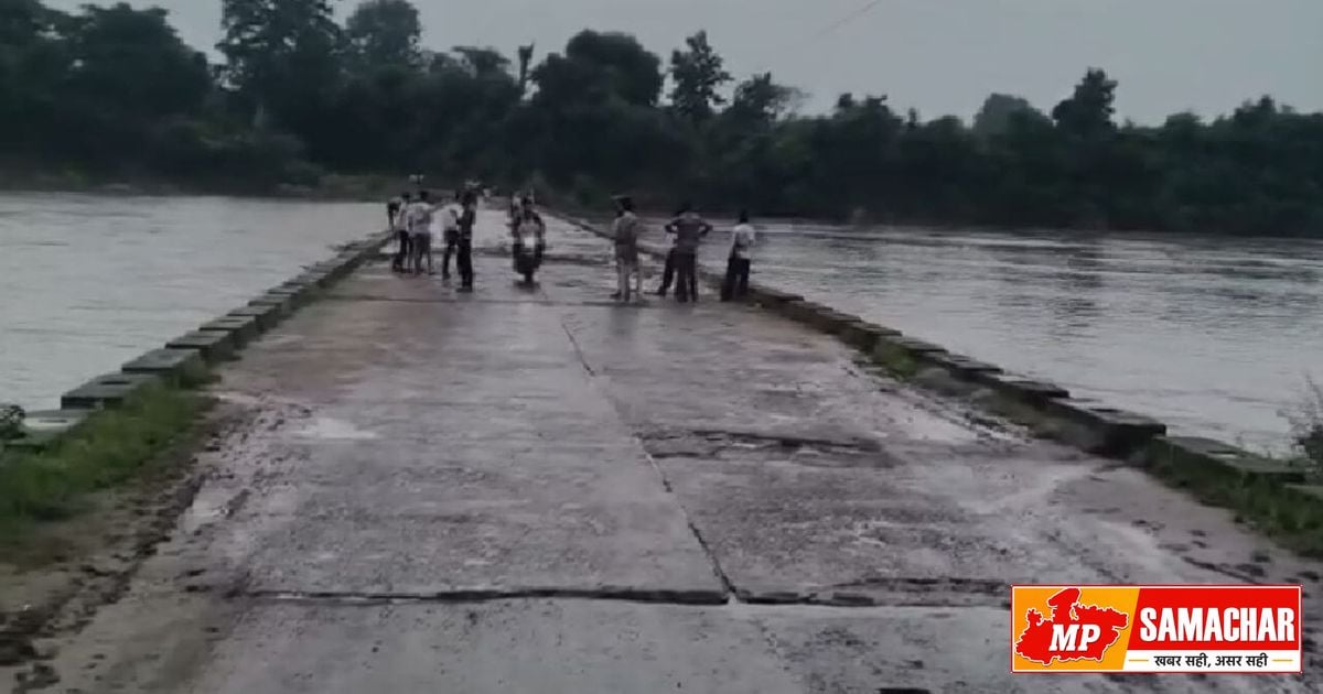 दमोह: मूसलाधार बारिश से सुनार नदी का रौद्र रूप, बरहट पुल पर आवागमन पूरी तरह ठप
