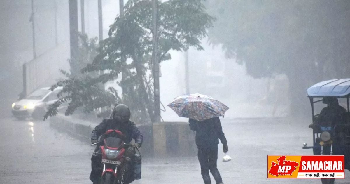 एमपी में मानसून की वापसी: 22 जिलों में भारी बारिश का अलर्ट, कई स्कूलों में छुट्टी