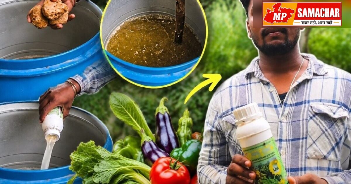 जैविक खेती में पोषक तत्वों की कमी पूरी करने का असरदार नुस्खा