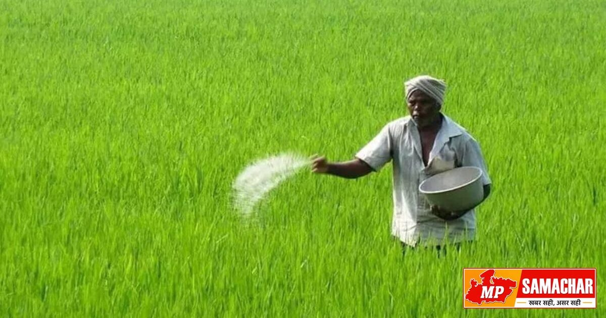 हरदा में खाद के लिए भटक रहे किसान, गोदामों में स्टॉक होने पर भी वितरण रुका