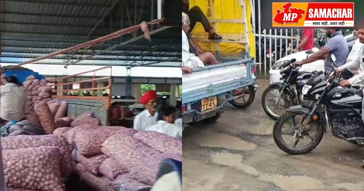 नीमच की जावद मंडी में लहसुन की बंपर आवक, अव्यवस्था से किसान बेहाल