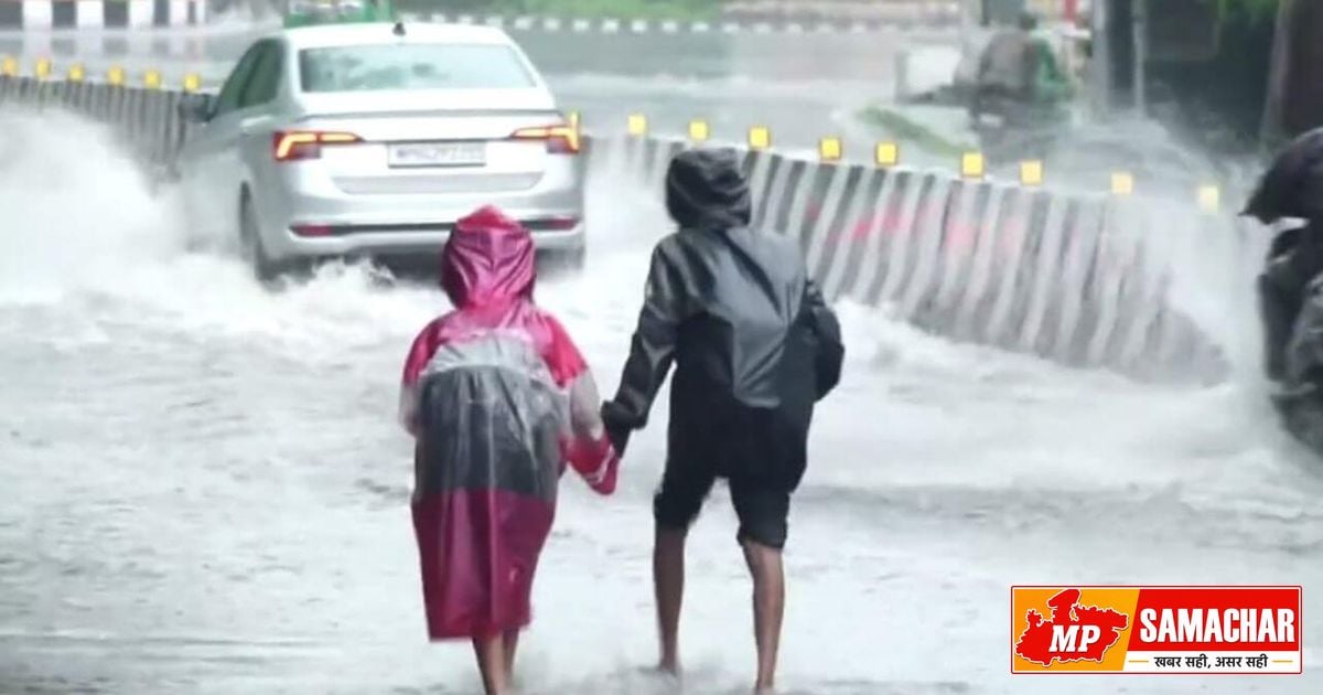 मध्य प्रदेश में फिर सक्रिय हुआ मानसून, 28 जिलों में भारी बारिश का अलर्ट