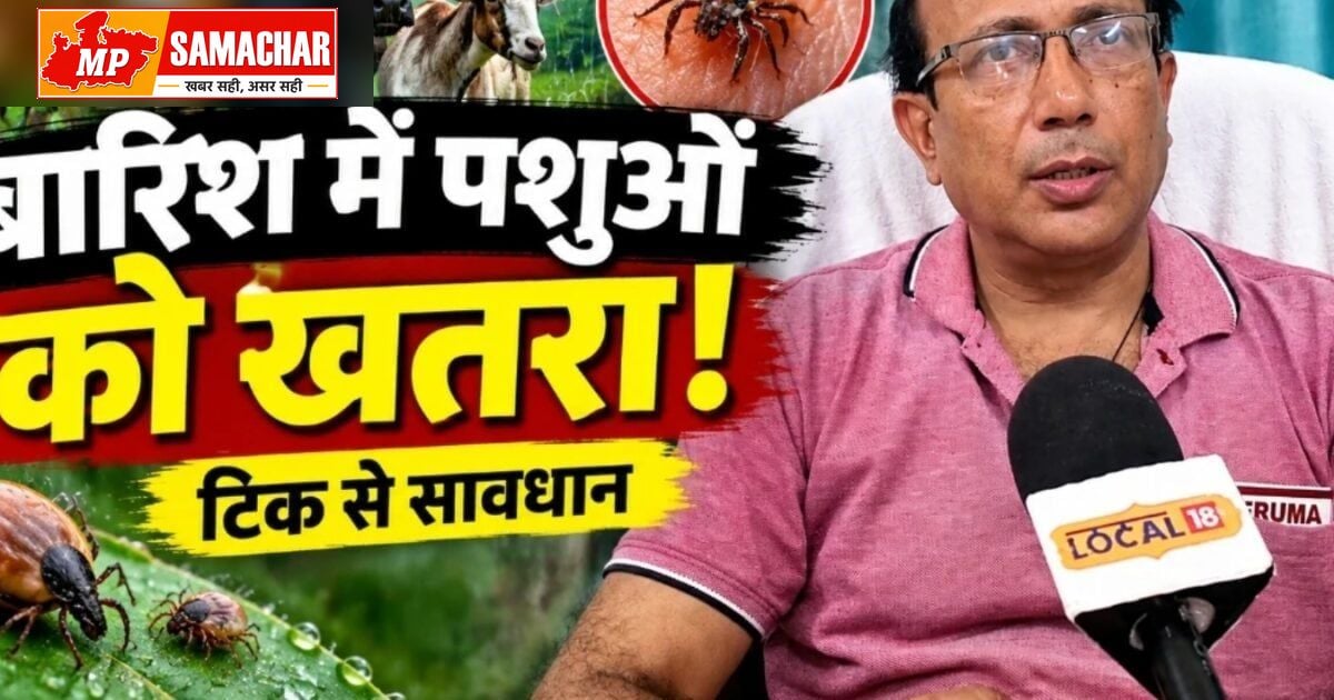 मानसून में पशुओं को किलनी के संक्रमण से बचाना है जरूरी